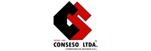 logo Conseso LTDA