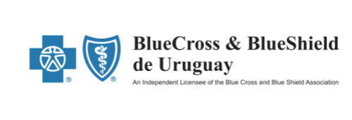 Logo Blue Cross